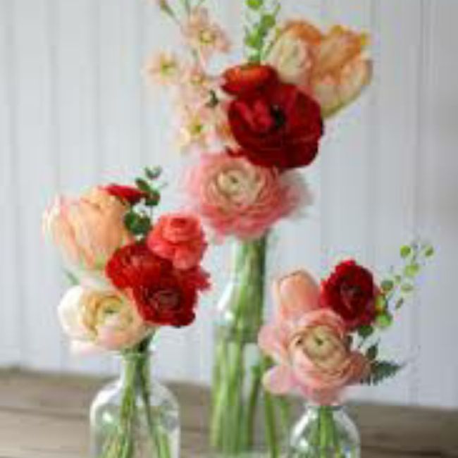 Consiglio su abbinamento Colori! Help! 34