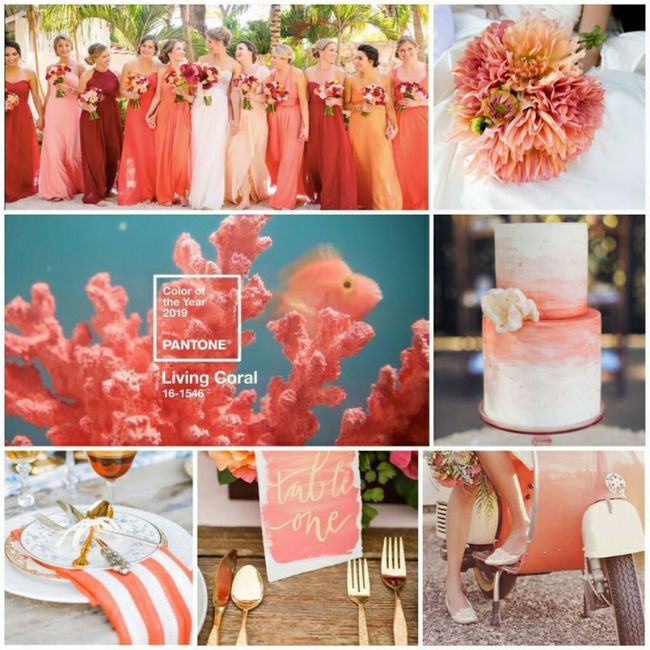 Consiglio su abbinamento Colori! Help! 35