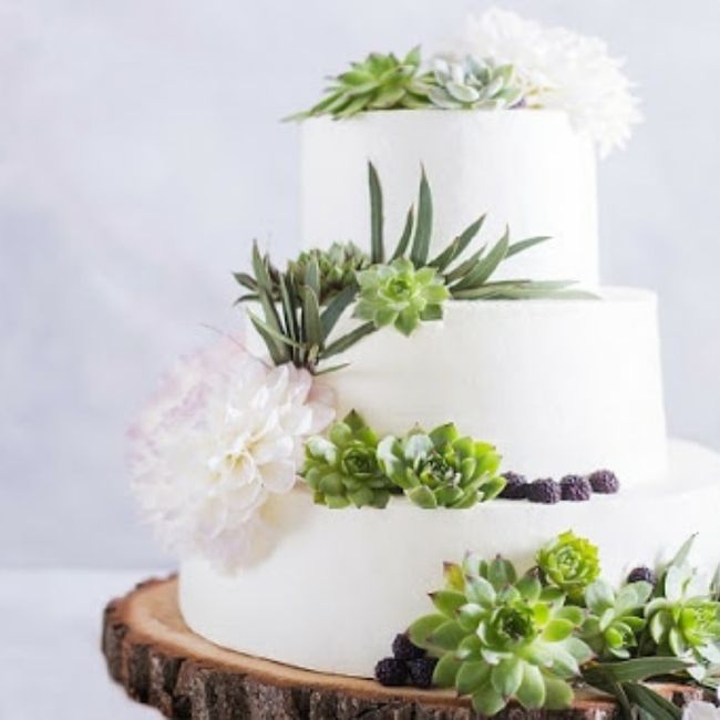 Succulenta come cake topper: promossa o bocciata? 1