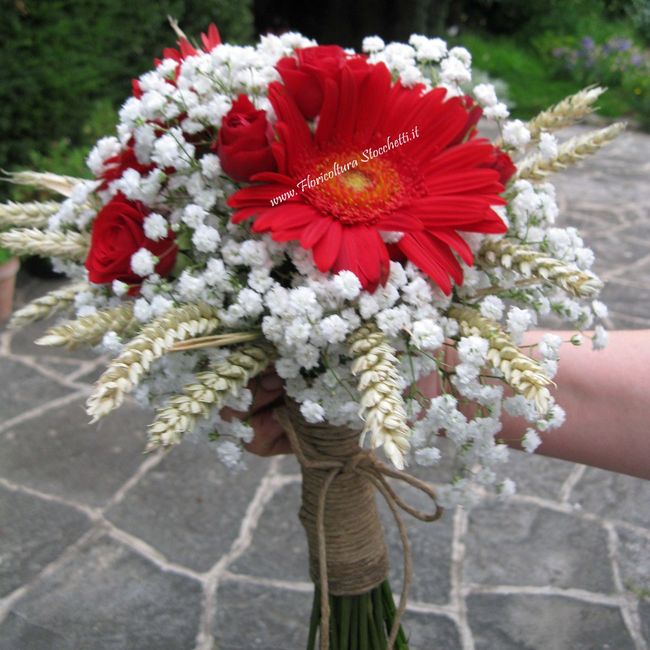 Gerbera come fiore per il mio bouquet da sposa? 4