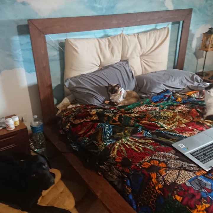 Camera Da Letto: Letto in ferro battuto o Testata rivestita? - 1