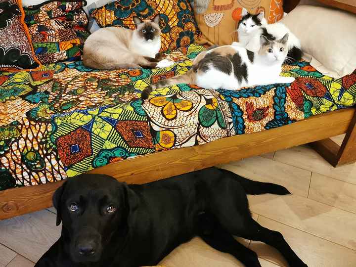 Foto con l'amico a quattro zampe🐱🐶 - 1