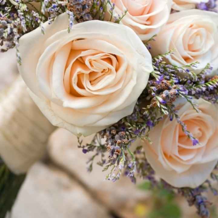 Ora mancano solo i fiori..🤔 - 1