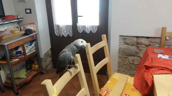 Regalo di fm x il matrimonio - 1