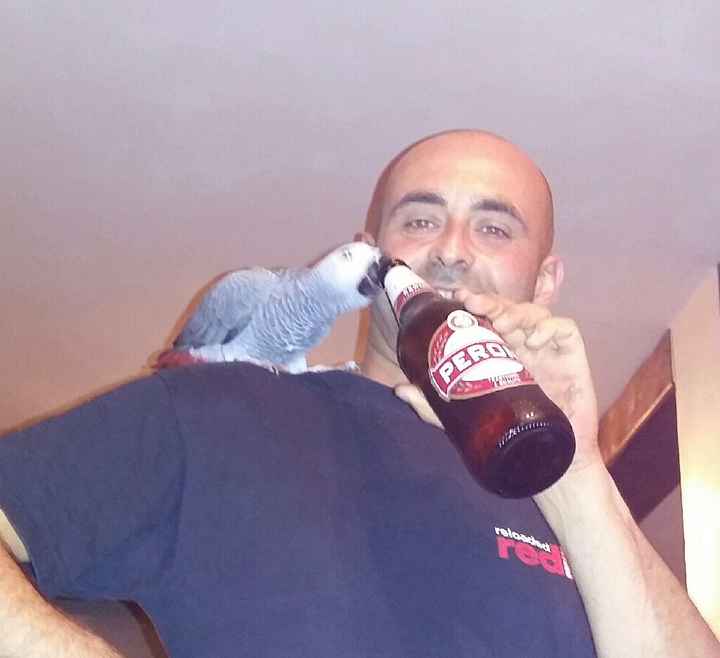 Curiosità ultime foto che avete salvato sul cellulare - 3