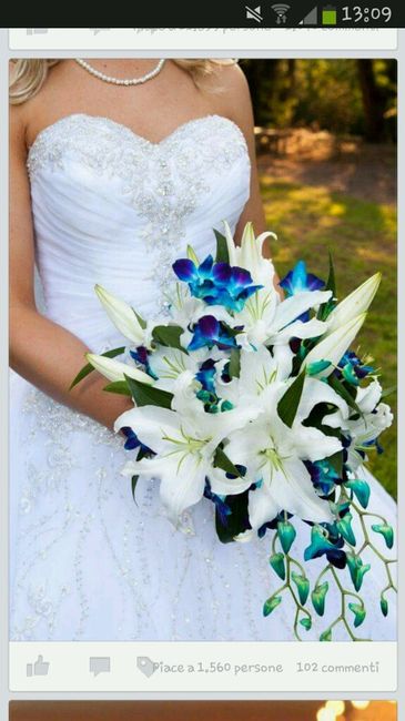 Quale bouquet scegliete? - 1