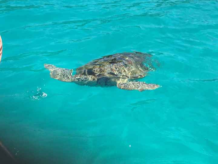 Malesia da favola. - 4