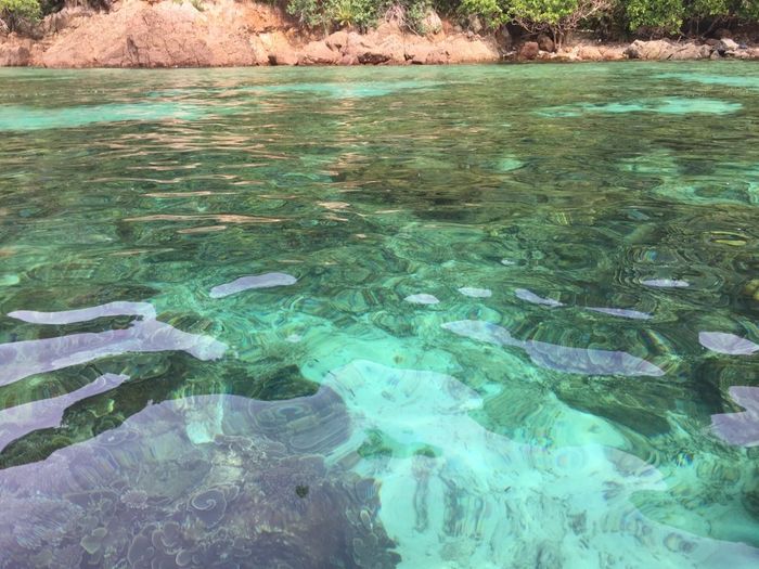 Malesia da favola. - 1