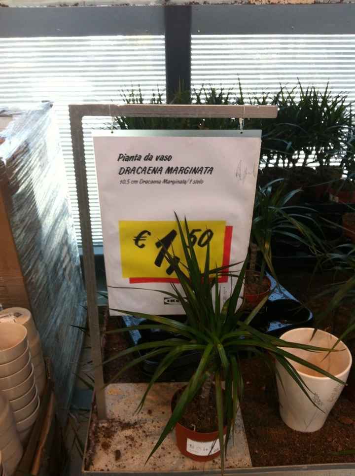 Cosa ne pensate? - 1