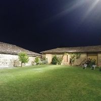 Fiori centrotavola - 1