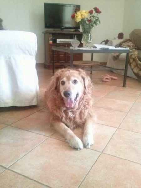 Le foto dei vostri animali - 8