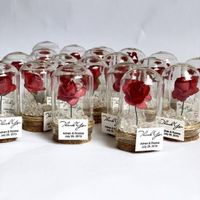 Tema la bella e la bestia !! - 6