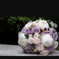 Quali fiori rosa? - 1