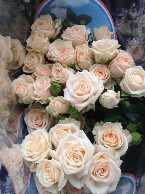 -1 💖 i fiori del nostro matrimonio 💐💐💐 - 4