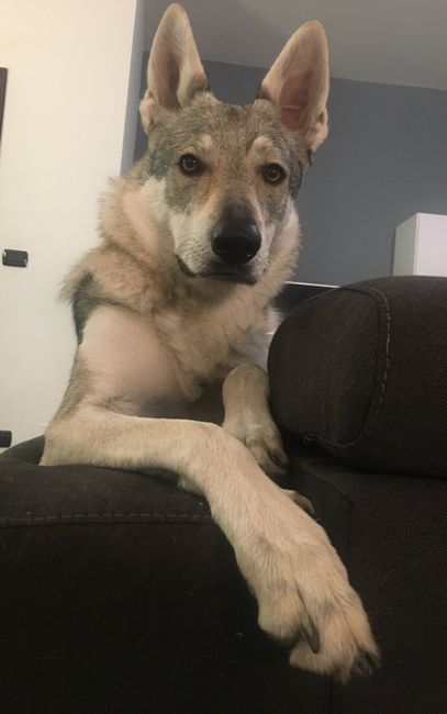 Location by night with my loves!!!! 4