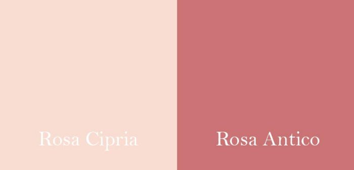 Che rosa è?  Antico o cipria ? 1