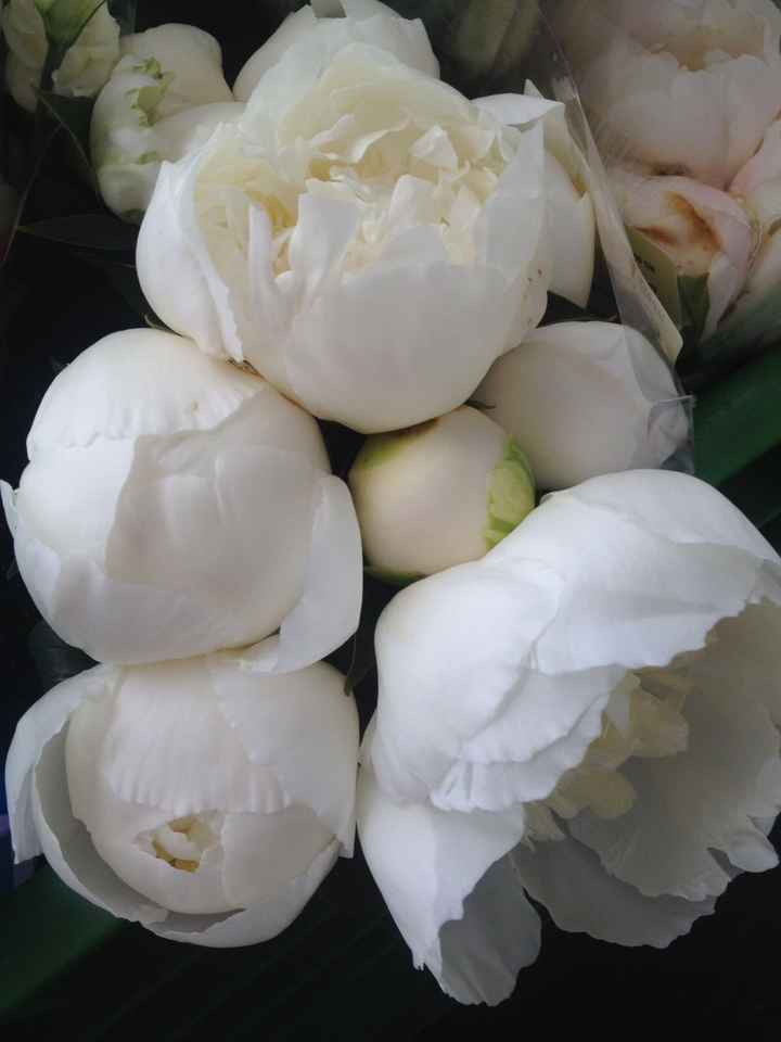 -1 💖 i fiori del nostro matrimonio 💐💐💐 - 2