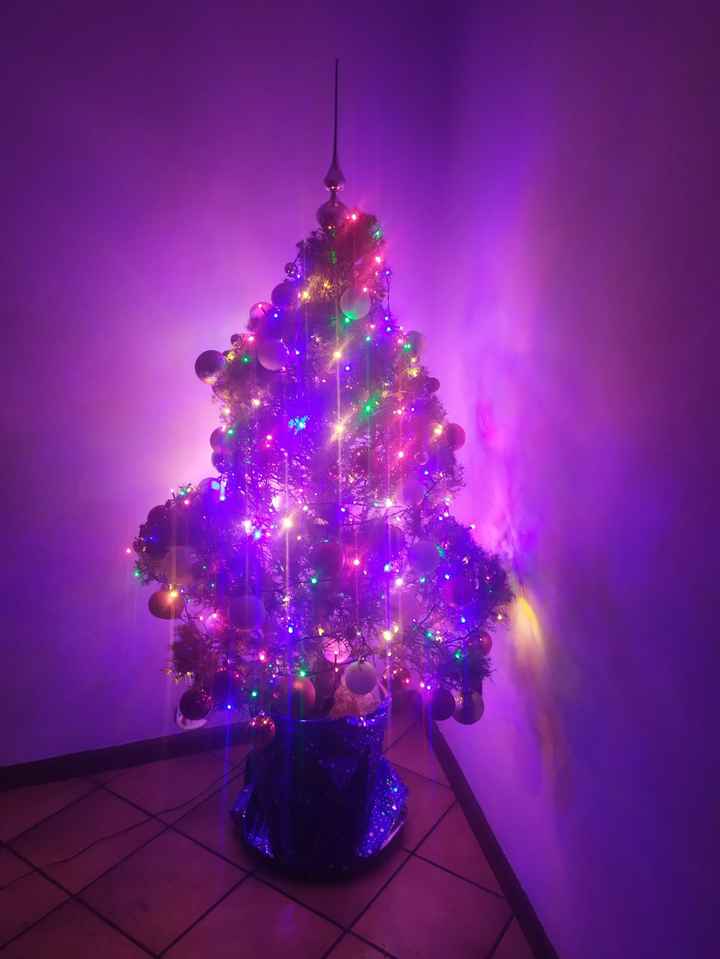 🎄 8 dicembre: l'albero di Natale - 1