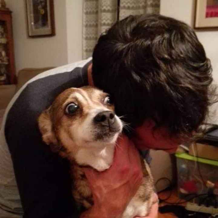Il vostro partner va d'accordo con i vostri animali domestici? - 1