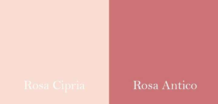 Che rosa è?  Antico o cipria ? - 1