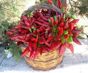 Aiuto centrotavola..... - 4