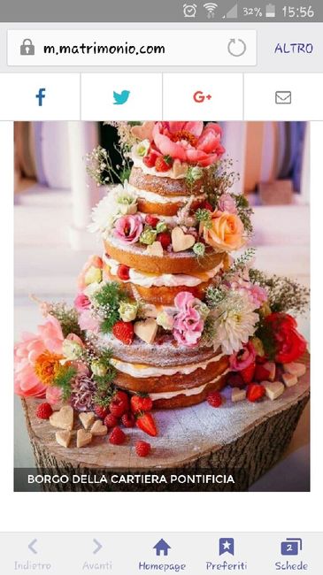 La mia torta sarà così! e la vostra? - 1