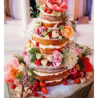 La mia torta sarà così! e la vostra? - 1