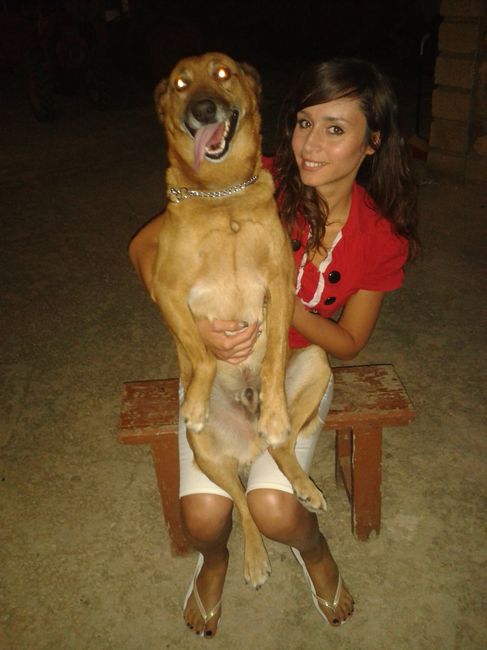 I nostri cuccioli!!! - 1