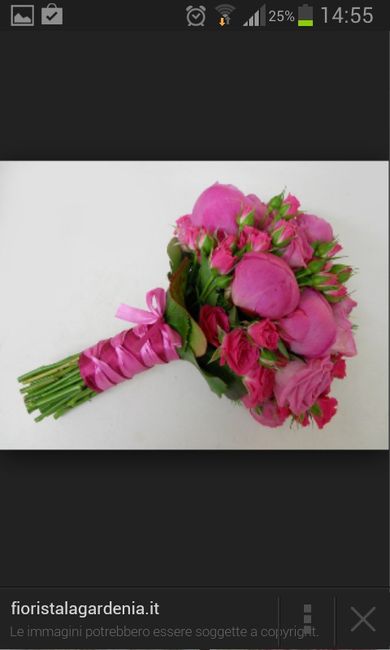 Club della sposa fucsia - 1