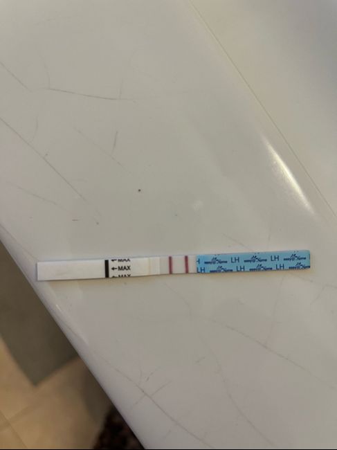 Per chi non le aspetta Luglio, Agosto Settembre e Ottobre 2024🍀🐞 - 1