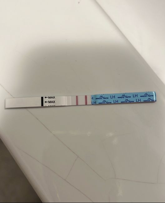 Per chi non le aspetta Luglio, Agosto Settembre e Ottobre 2024🍀🐞 - 1