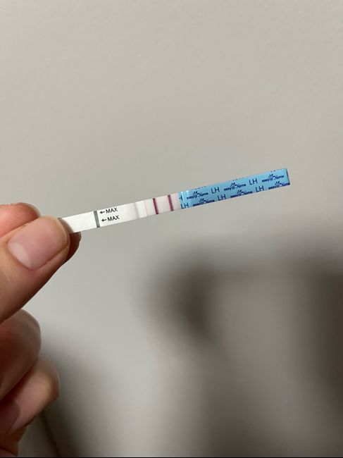 Per chi non le aspetta Luglio, Agosto Settembre e Ottobre 2024🍀🐞 - 1