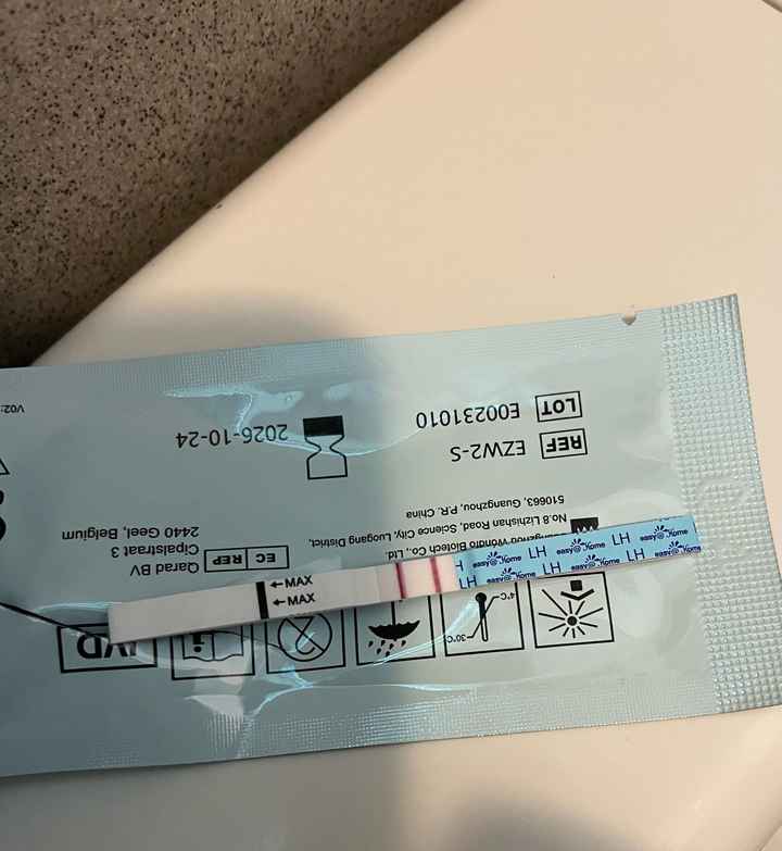 Per chi non le aspetta Luglio, Agosto Settembre e Ottobre 2024🍀🐞 - 1