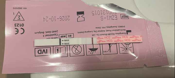 Per chi non le aspetta ottobre, novembre e dicembre 2024🍀🐞 - 1