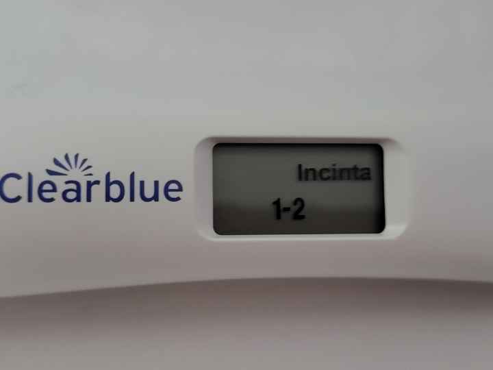 Chi non le aspetta per agosto 🍼🍼🏖️ - 1