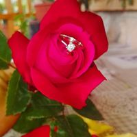 E ora mostraci una foto del tuo anello di fidanzamento! - 1