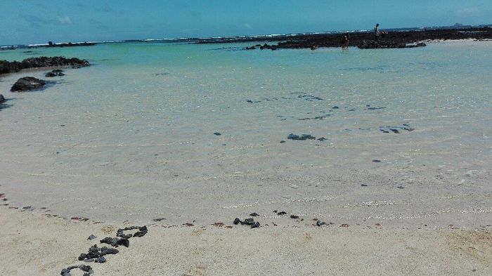 Saluti dalle Canarie! - 3