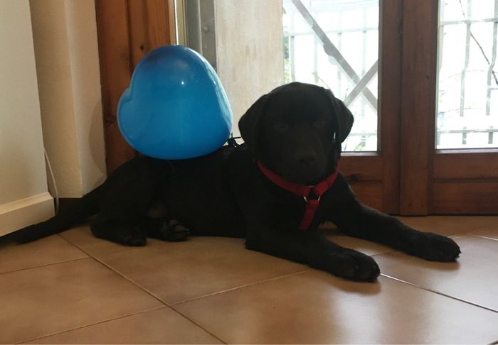 Future mamme novembre 2020 🌞🍁🌷♾ - 1