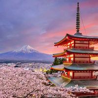 Giappone, viaggio di nozze 🏯👘🎋🎎🇯🇵🏮 - 1