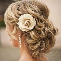 Acconciature raccolte  - 1