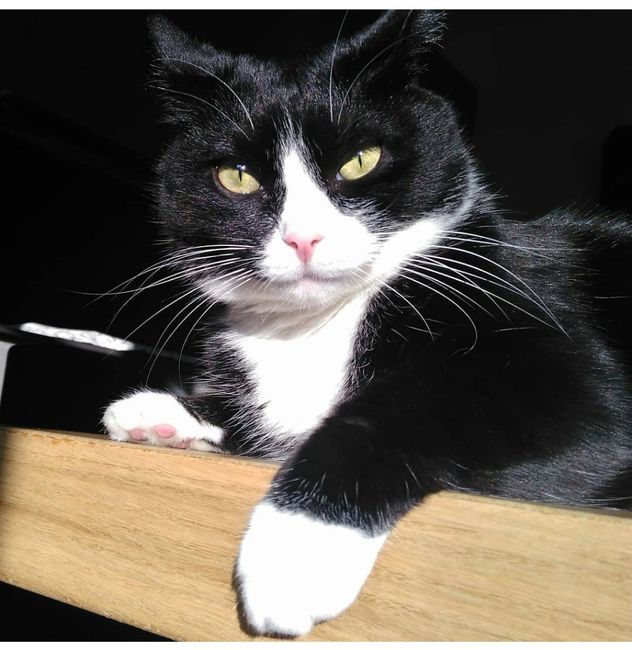 Future mamme Maggio 2025 💙💖 - 1