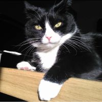 Future mamme Maggio 2025 💙💖 - 1