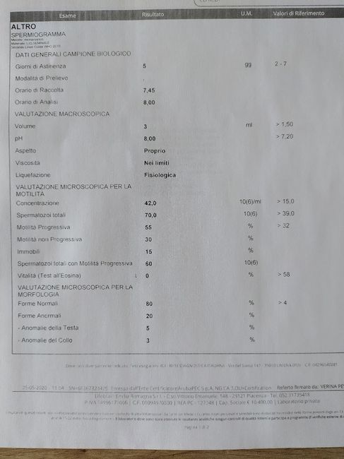 Spermiogramma.. qualcuna sa aiutarmi con i Risultati? 🙏🏻 1