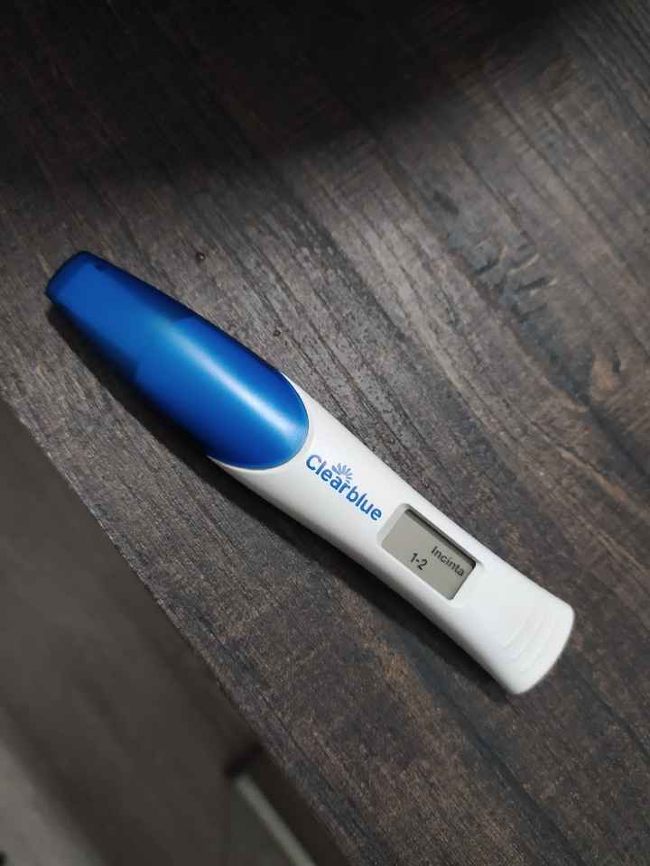 ❤🧡💛💚💙💜 pma 2020, siamo cariche? 💪🏻 - 1