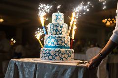Un taglio torta luminoso - 4