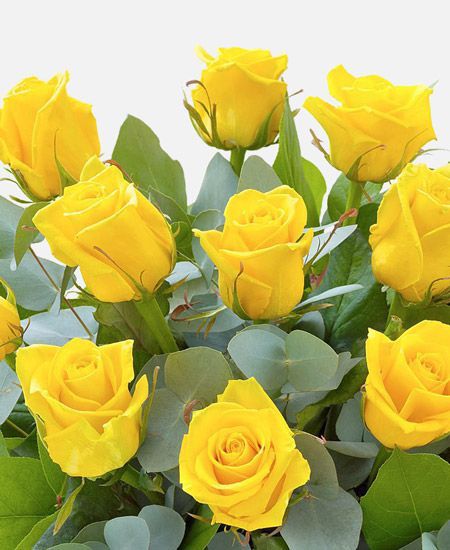 Bouquet: i fiori di giugno - 16