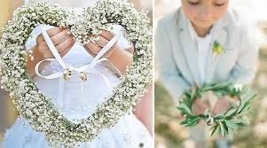 Portafedi che indecisione 😆 4