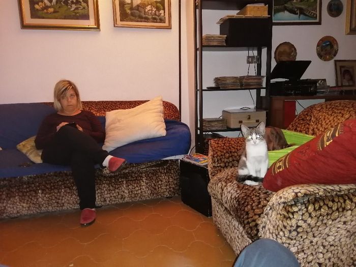 Svelateci la vostra meta per ricevere la medaglia! - 9