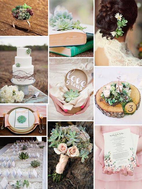 Tema libri e tema piante aromatiche 8