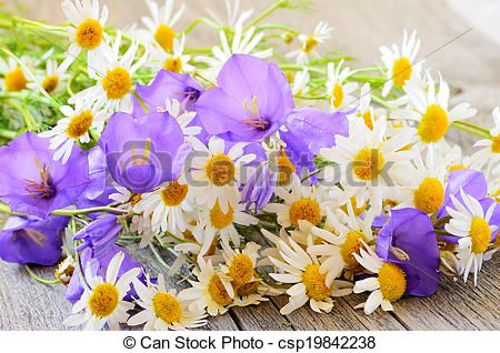 Fiori bucolici di giugno 11